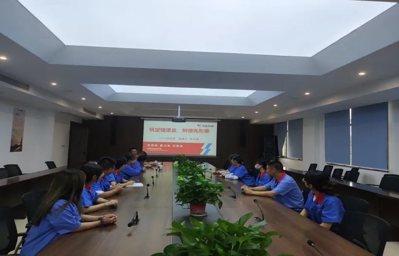 这期的主题党日运动很有“料”-新闻动态-天能控股集团 - 贡献绿色能源，，创立优美生涯。。。