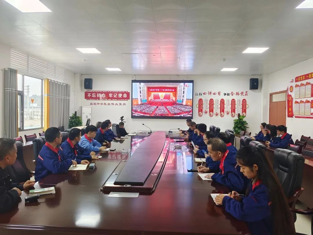喜迎二十大｜天能控股集团党委组织党员收听收看党的二十大开幕会盛况-新闻动态-天能控股集团 - 贡献绿色能源，，，，，创立优美生涯。。。。。。